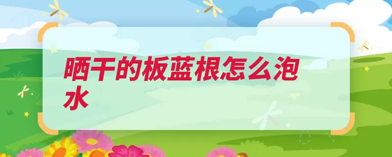 晒干的板蓝根怎么泡水