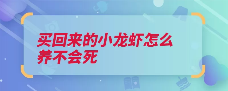 买回来的小龙虾怎么养不会死