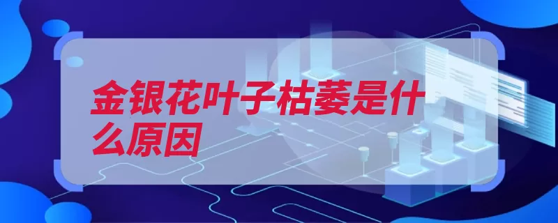 金银花叶子枯萎是什么原因（叶子枯萎浇水植株）