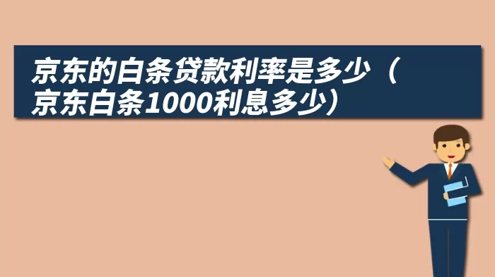 京东的白条贷款利率是多少（京东白条1000利息多少）