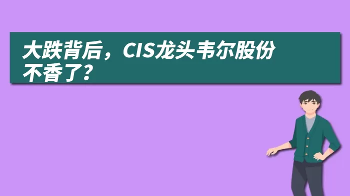 大跌背后，CIS龙头韦尔股份不香了？