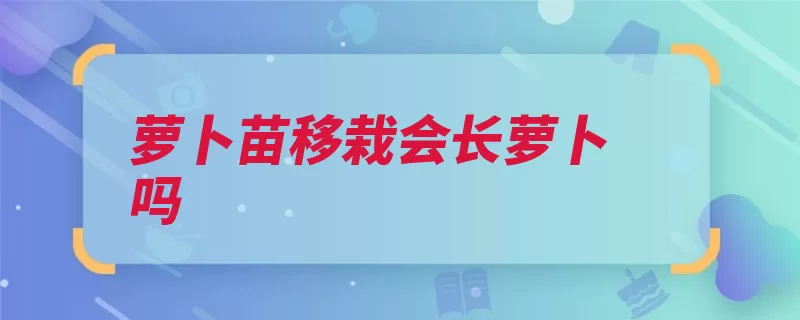 萝卜苗移栽会长萝卜吗（移栽幼苗萝卜中耕）