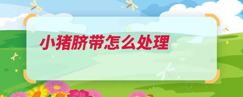小猪脐带怎么处理