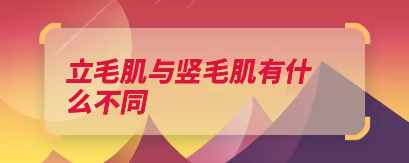 立毛肌与竖毛肌有什么不同