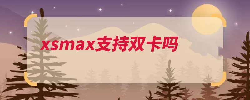 xsmax支持双卡吗