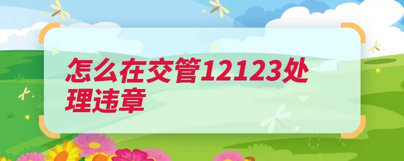 怎么在交管12123处理违章（违章点击可以看到）