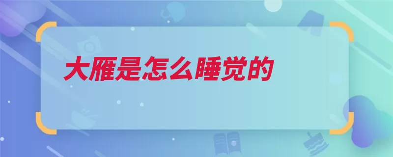 大雁是怎么睡觉的