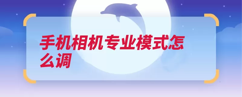手机相机专业模式怎么调（小米总监出货量微）