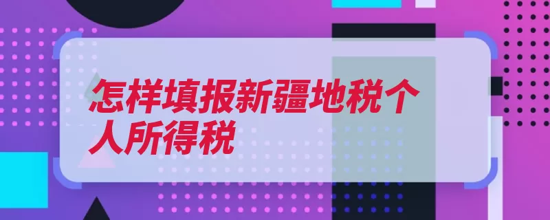 怎样填报新疆地税个人所得税