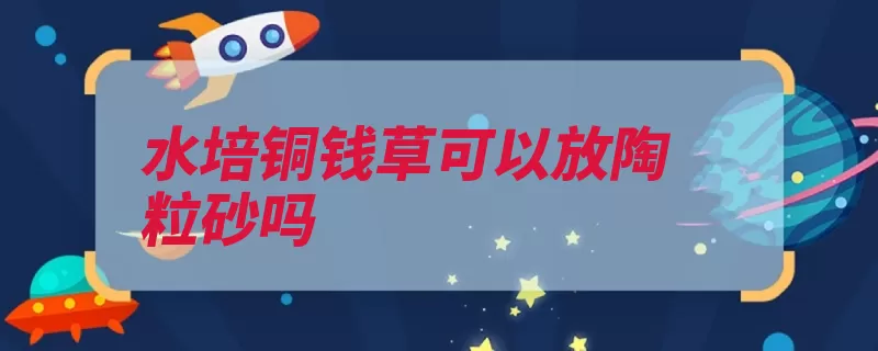 水培铜钱草可以放陶粒砂吗