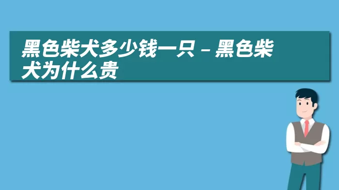 黑色柴犬多少钱一只 – 黑色柴犬为什么贵