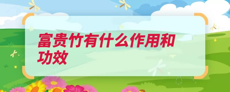 富贵竹有什么作用和功效
