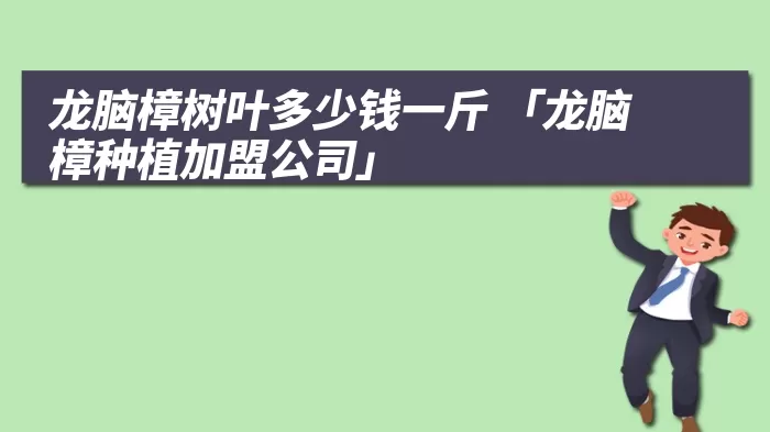 龙脑樟树叶多少钱一斤 「龙脑樟种植加盟公司」