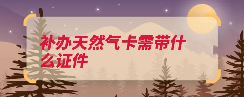 补办天然气卡需带什么证件