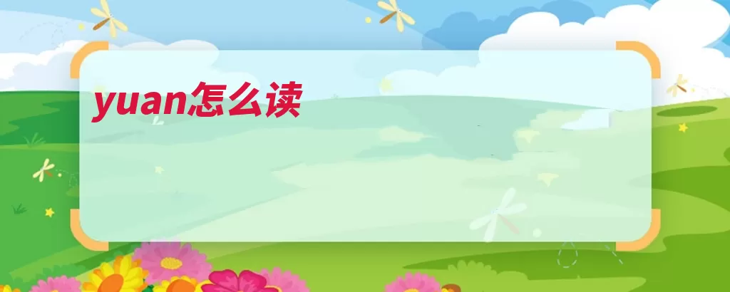 yuan怎么读