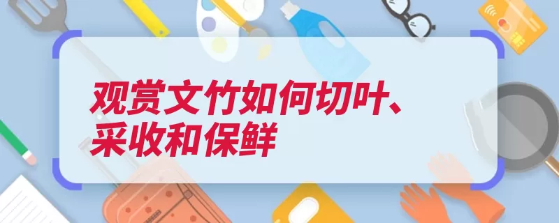 观赏文竹如何切叶、采收和保鲜