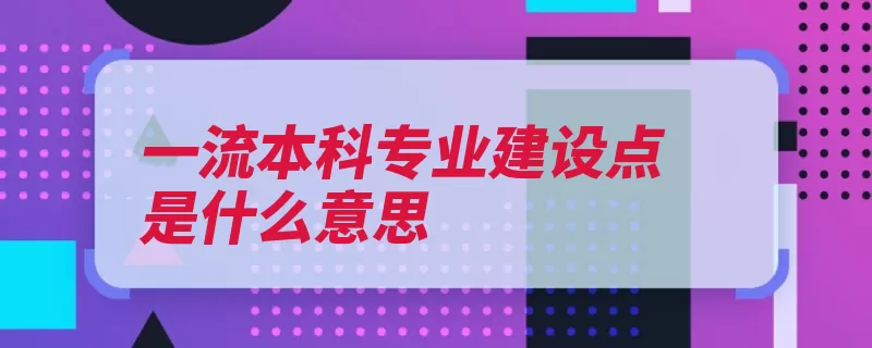 一流本科专业建设点是什么意思