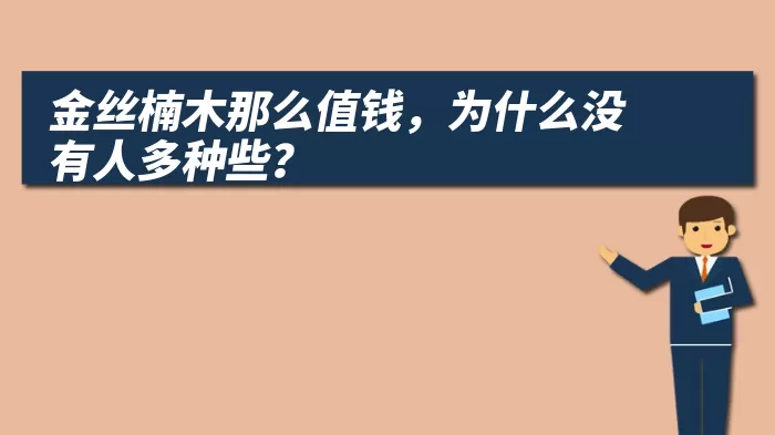 金丝楠木那么值钱，为什么没有人多种些？