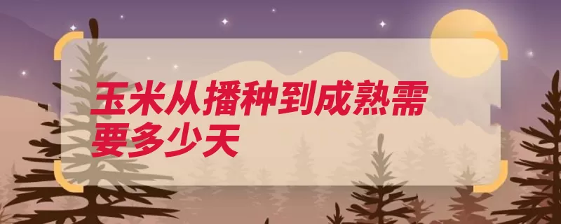 玉米从播种到成熟需要多少天