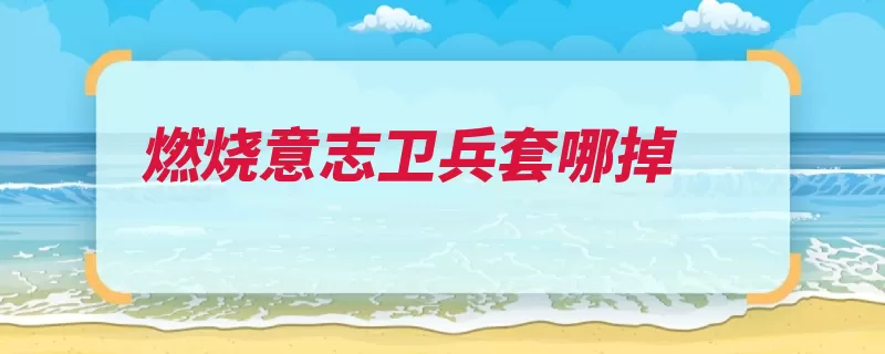 燃烧意志卫兵套哪掉