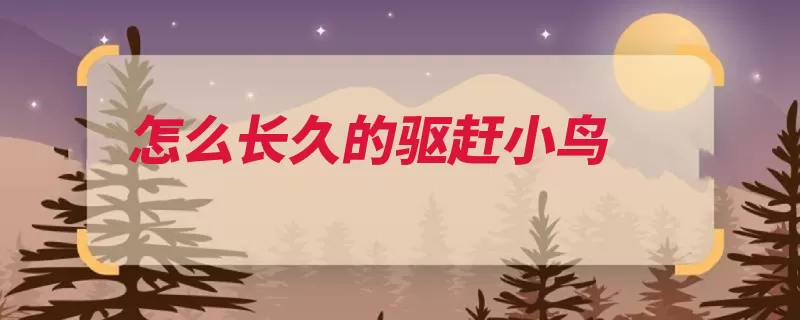 怎么长久的驱赶小鸟