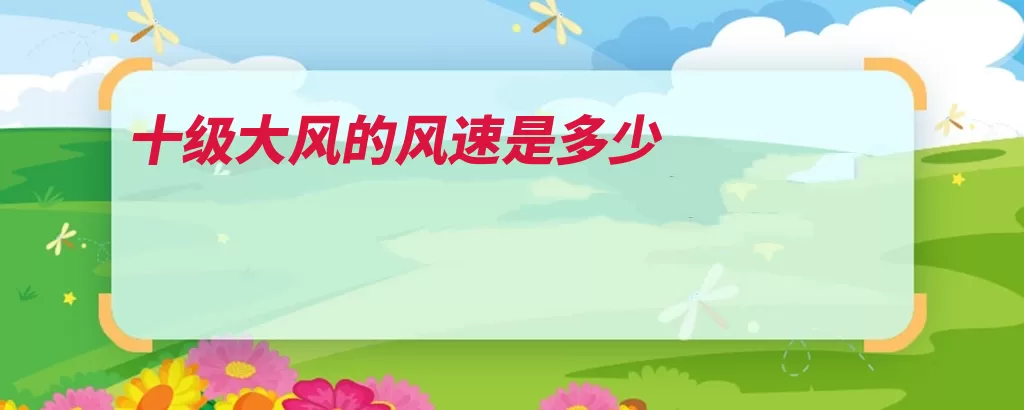 十级大风的风速是多少