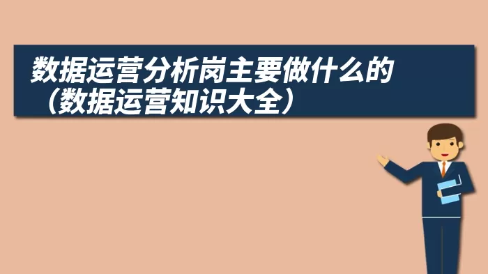 数据运营分析岗主要做什么的（数据运营知识大全）