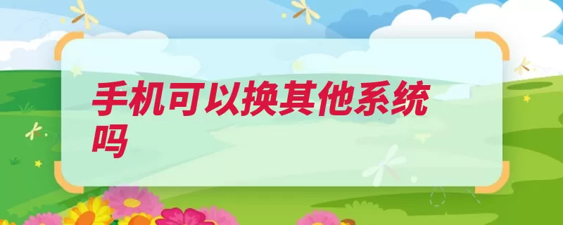 手机可以换其他系统吗