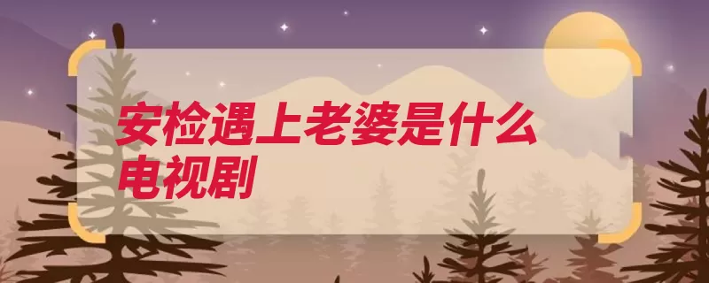 安检遇上老婆是什么电视剧