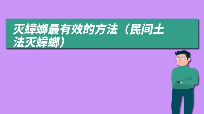 灭蟑螂最有效的方法（民间土法灭蟑螂）