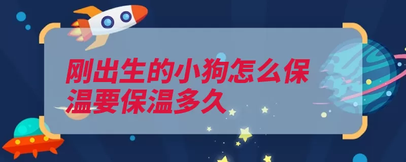 刚出生的小狗怎么保温要保温多久