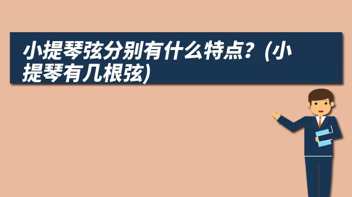 小提琴弦分别有什么特点?(小提琴有几根弦)