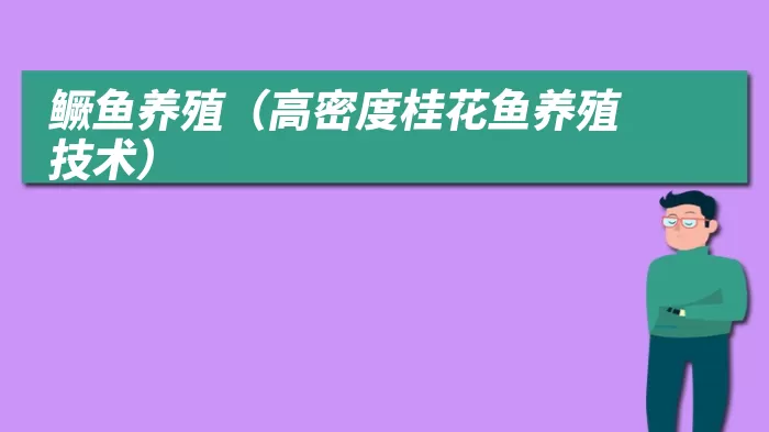 鳜鱼养殖(高密度桂花鱼养殖技术)