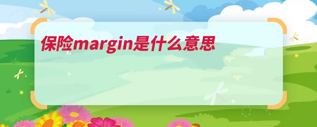 保险margin是什么意思