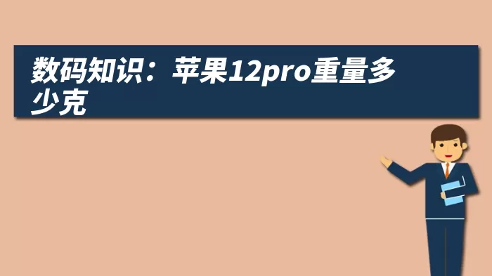 数码知识：苹果12pro重量多少克