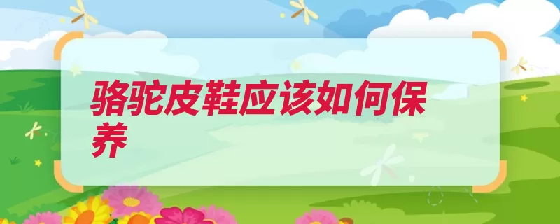 骆驼皮鞋应该如何保养