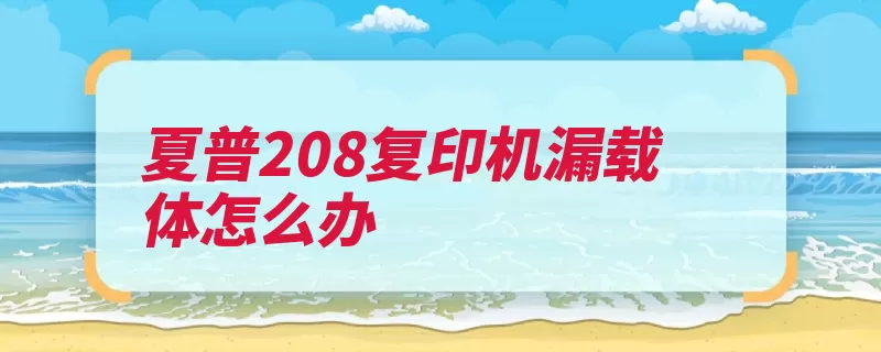 夏普208复印机漏载体怎么办