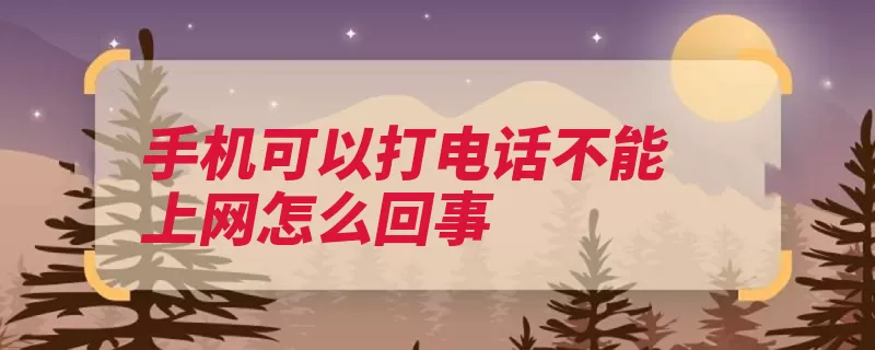 手机可以打电话不能上网怎么回事