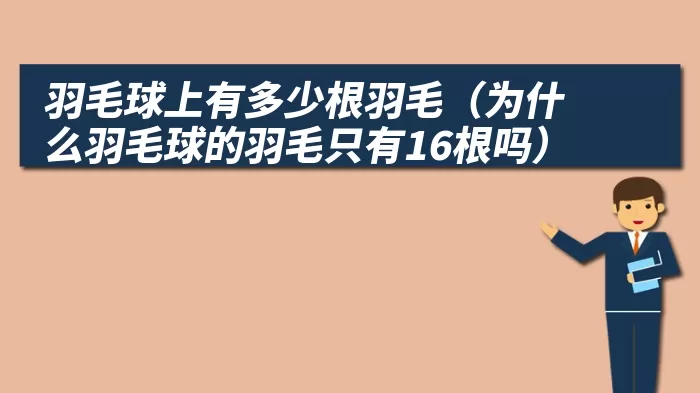 羽毛球上有多少根羽毛（为什么羽毛球的羽毛只有16根吗）