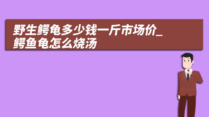 野生鳄龟多少钱一斤市场价_鳄鱼龟怎么烧汤