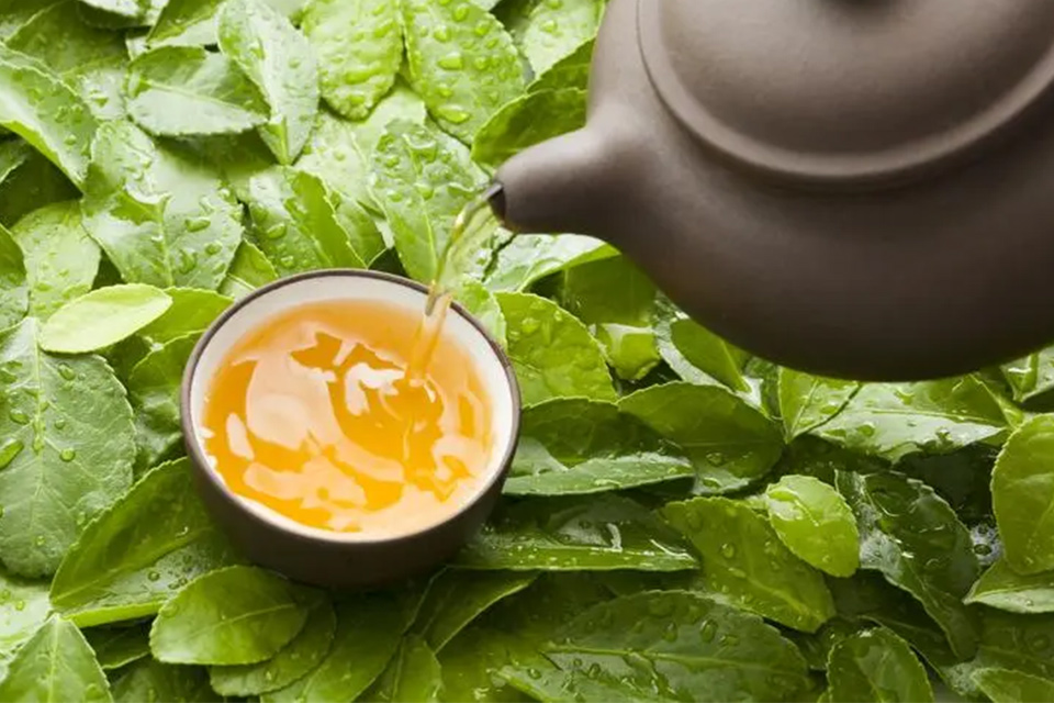 网上买茶叶哪家最可靠 茶叶排行榜前10名