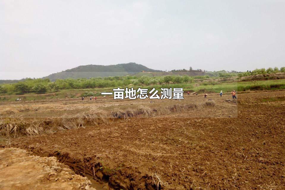 一亩地怎么测量 1亩地等于多少公顷