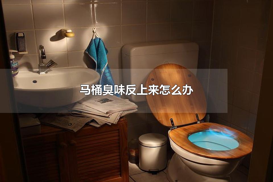 马桶臭味反上来怎么办 厕所臭味怎么找到源头