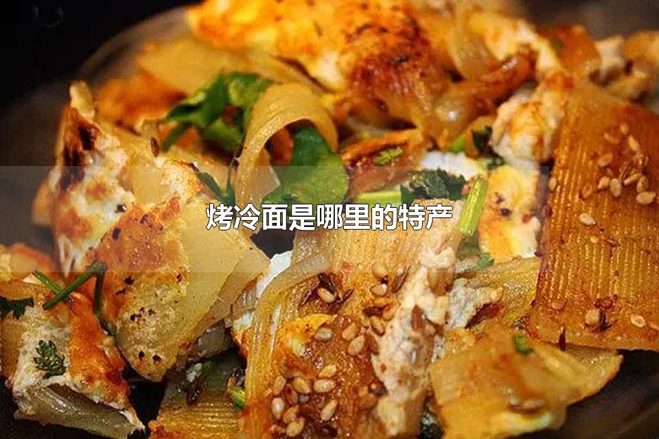 烤冷面是哪里的特产 烤冷面的面皮是什么面