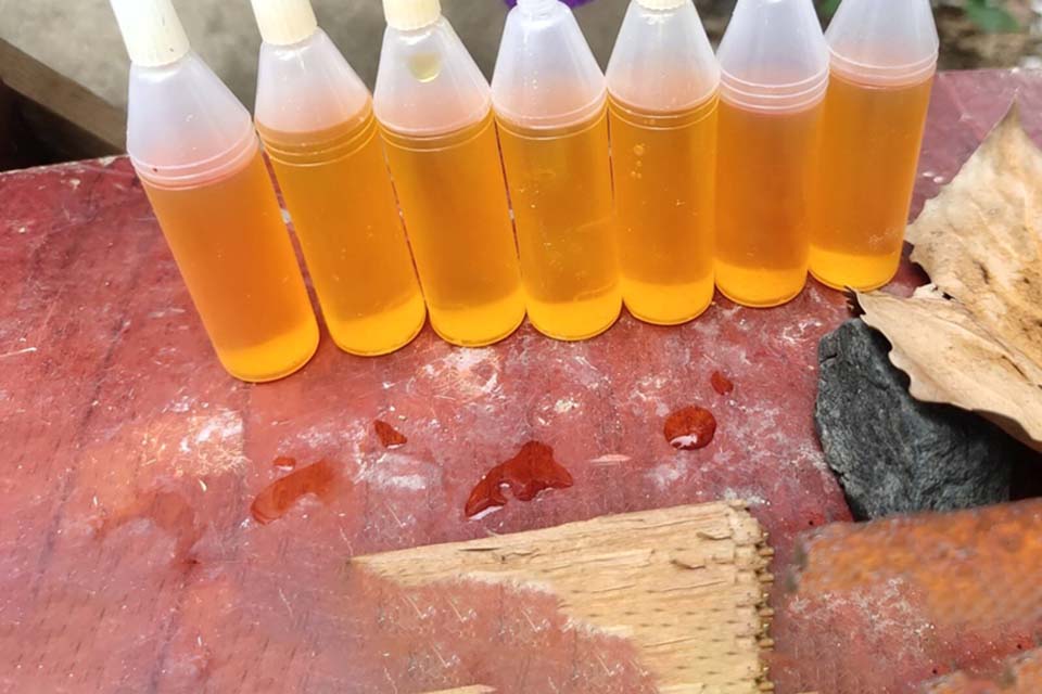 家里进了老鼠最好的办法是什么 床上有人老鼠敢爬吗