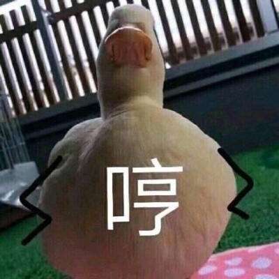 鸭鸭狂喜！周黑鸭业绩大降超90%