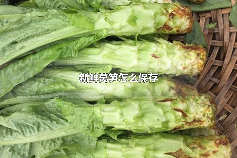 新鲜莴笋怎么保存 莴笋切片泡水里可以放多久