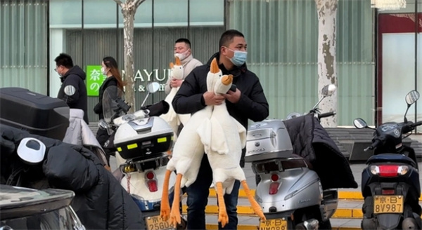 北京多个地铁口有人扫码送大鹅