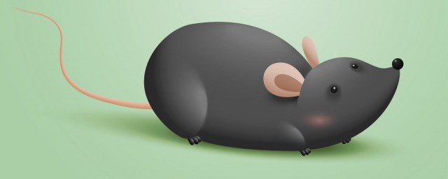 梦见床上有老鼠是什么预兆 梦见床上有老鼠代表什么意思呢