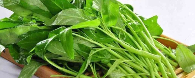 空心菜能生吃吗 空心菜能直接吃吗
